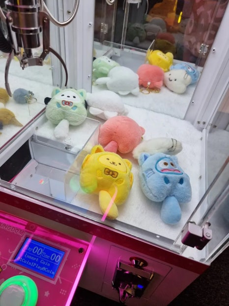 월드킹 이미지