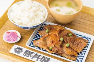 톤톤돼지 이미지