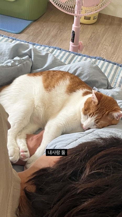 우주노래주점 이미지