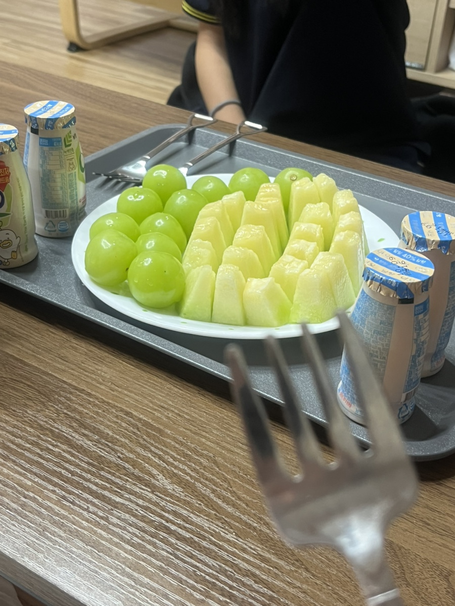 백오파스타 이미지