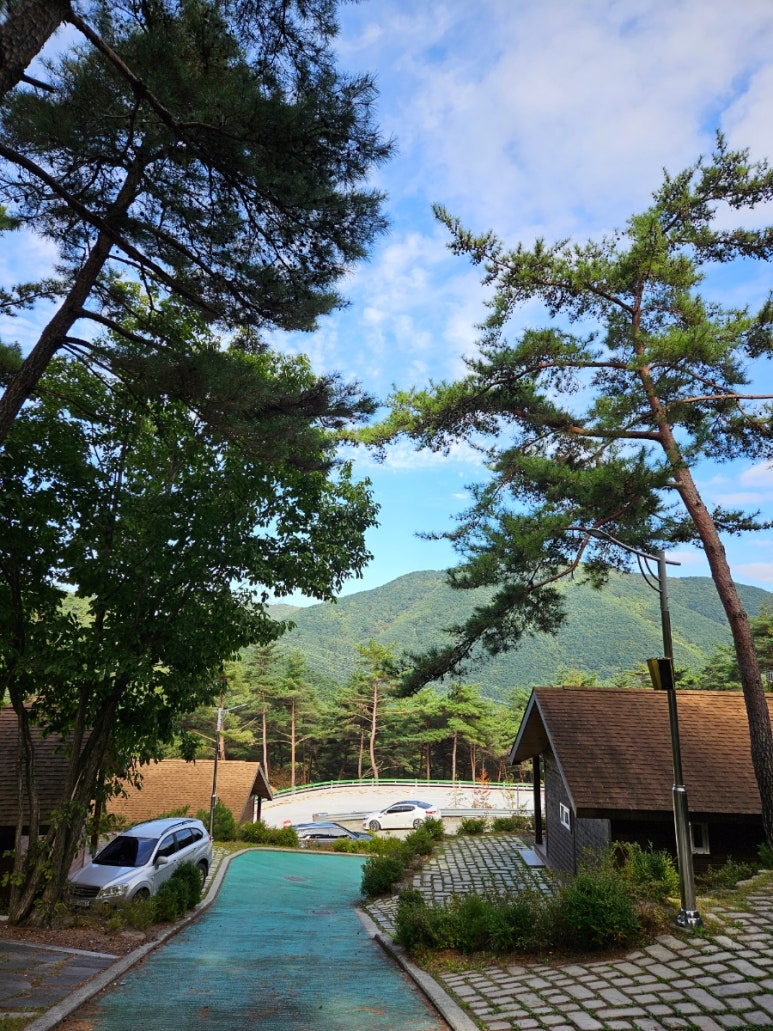 화왕산자연휴양림야영장 이미지