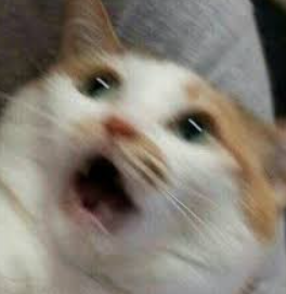 힘난다버거 이미지