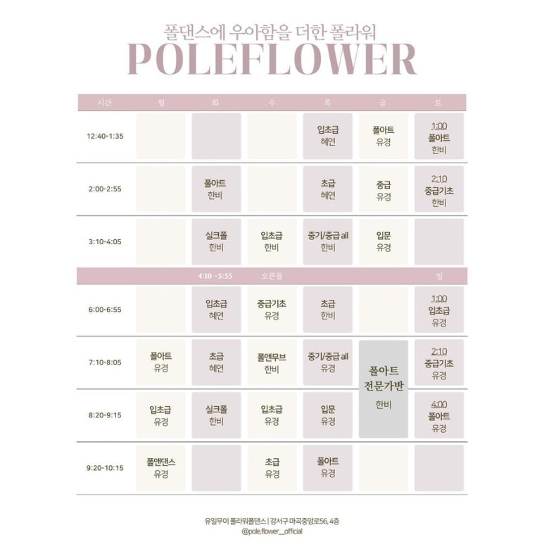 폴라워 이미지