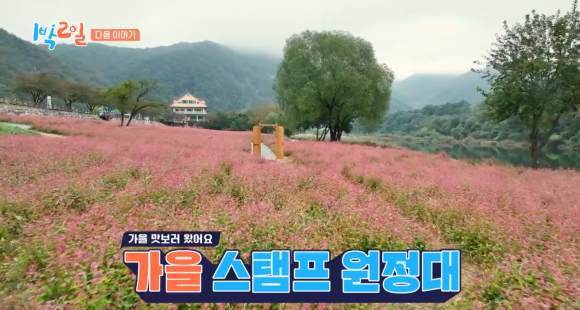 한반도리버2 이미지