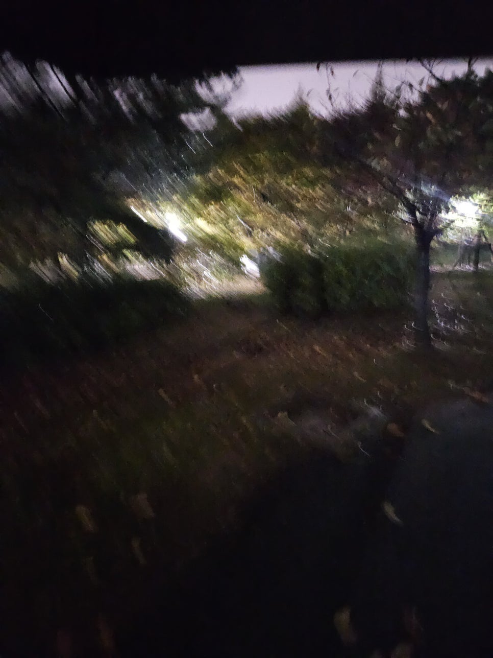 정직유부 일산풍동점 이미지