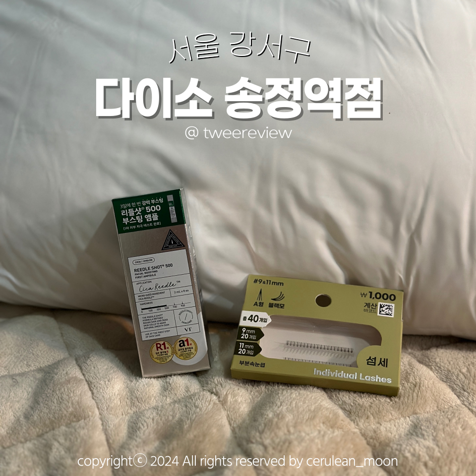 다이소송정역점 이미지
