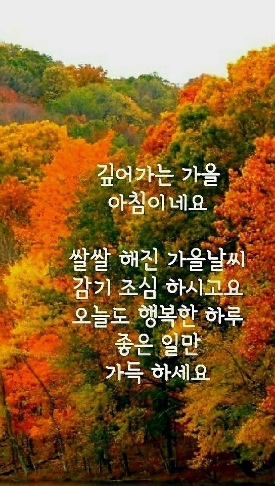 기적의힐링숲 이미지