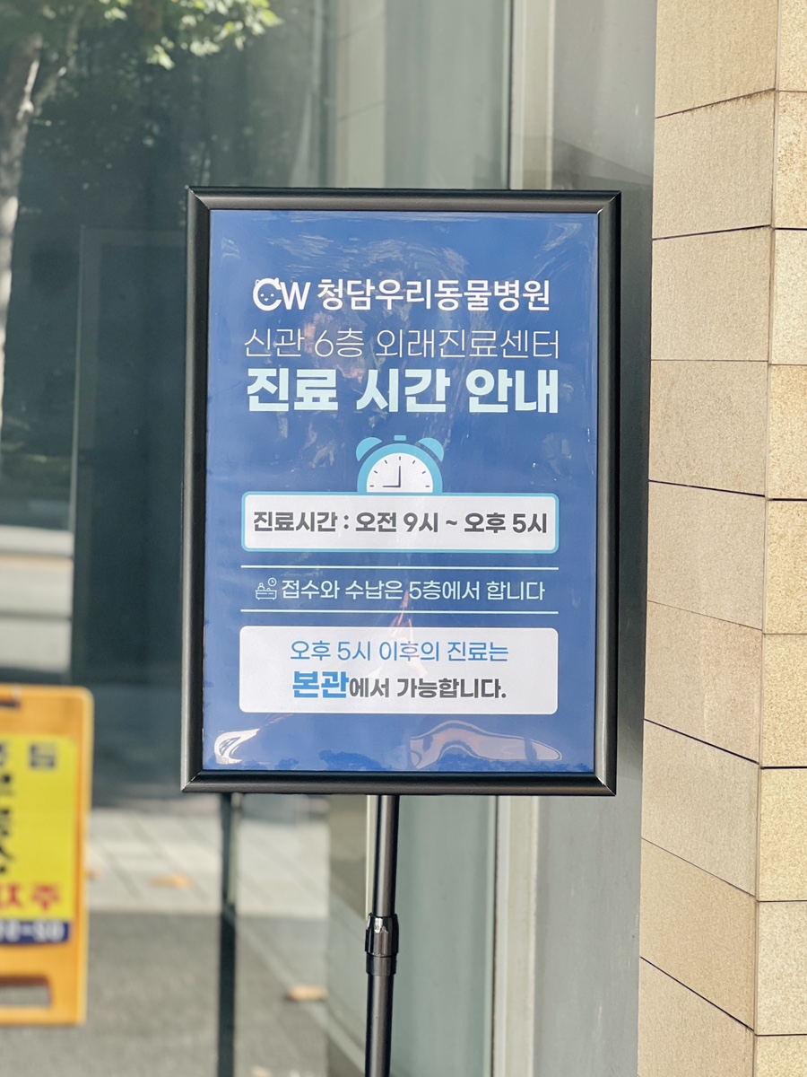 강아지 슬개골탈구, 강남 청담우리 24시 병원 재활 치료 후기 — 사진 6
