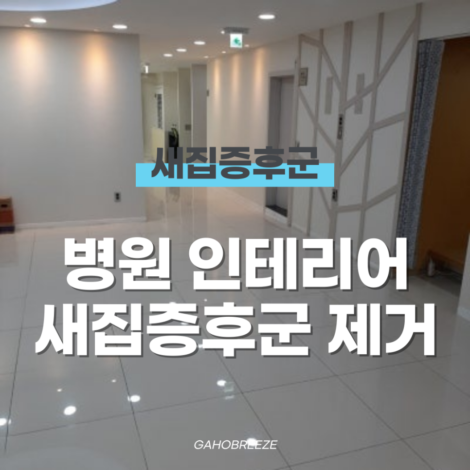 가호브리즈 이미지