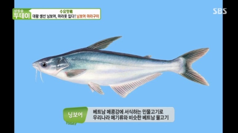 반티엔야오 카오위 이미지