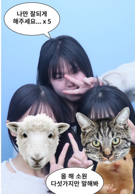 이차돌정읍충정점 이미지
