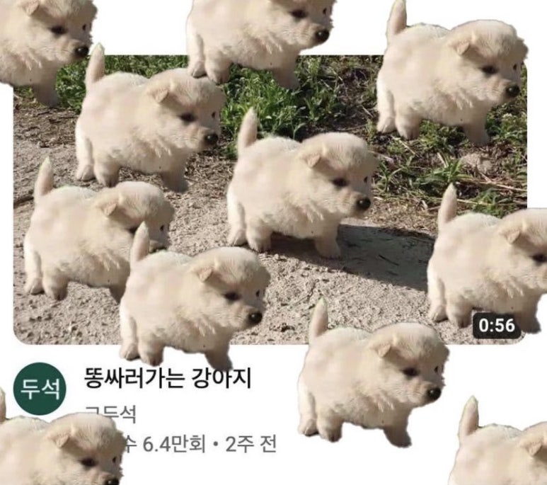나포토 이미지