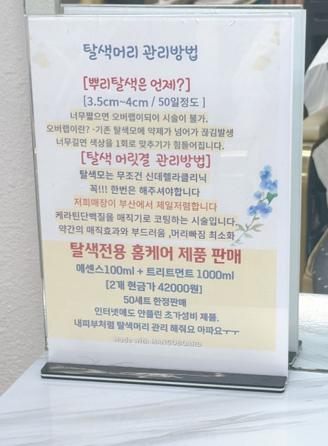 논노브 이미지