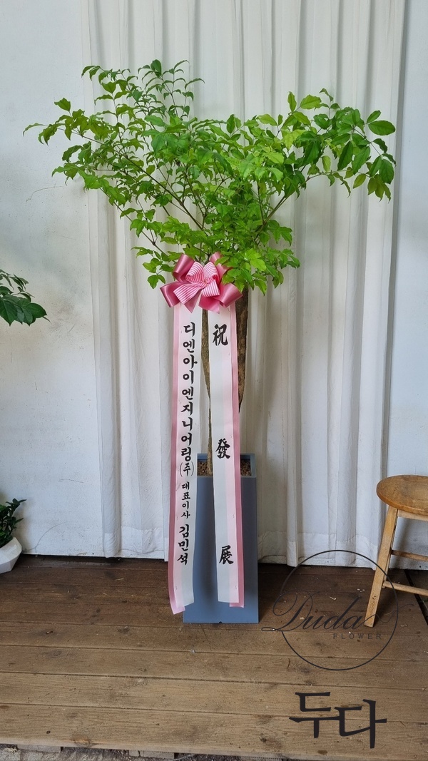 디엔아이엔지니어링주 이미지