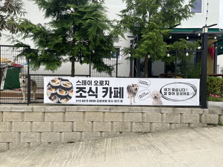 오로지김밥카페 이미지