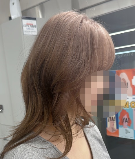 논노브 이미지
