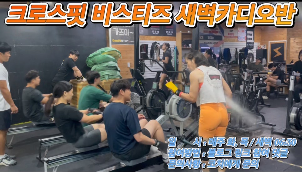 비스티즈 이미지