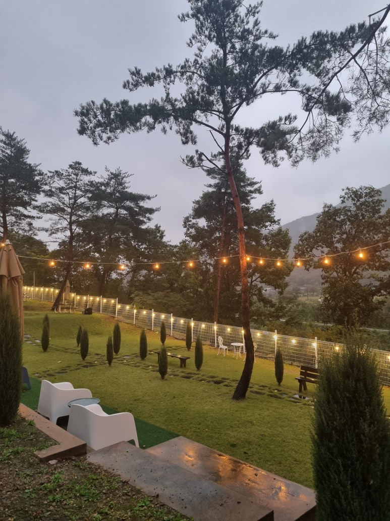 산내956 이미지