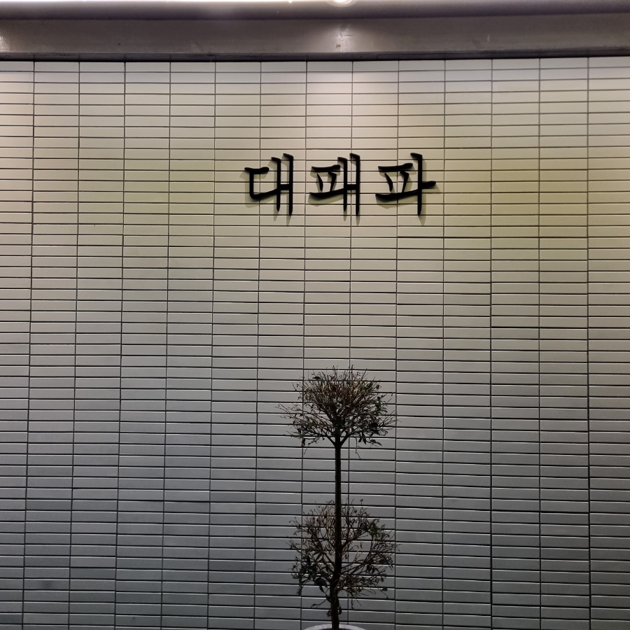 대패파 이미지