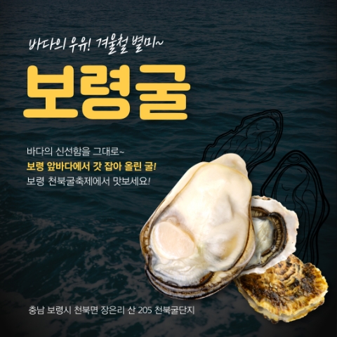 보령정보 이미지