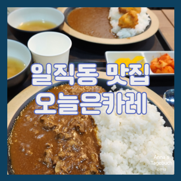 오늘은카레광명일직점 이미지
