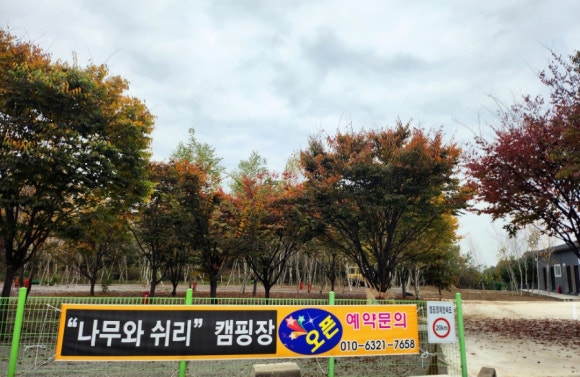 나무와쉬리 이미지