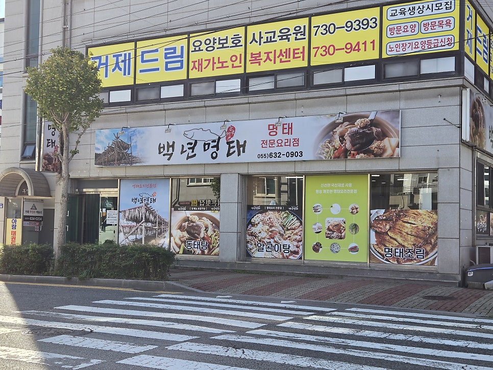 백년명태 이미지