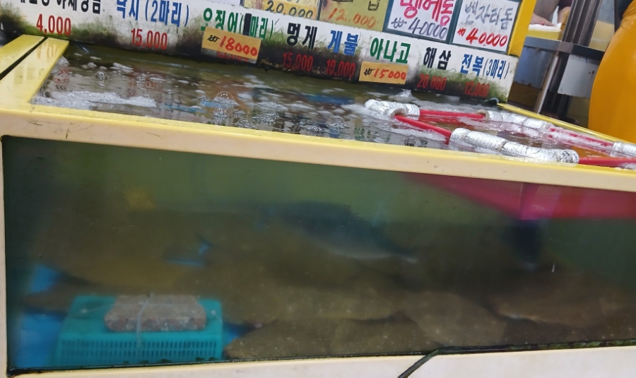 부구수산 이미지