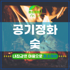 메인이미지1