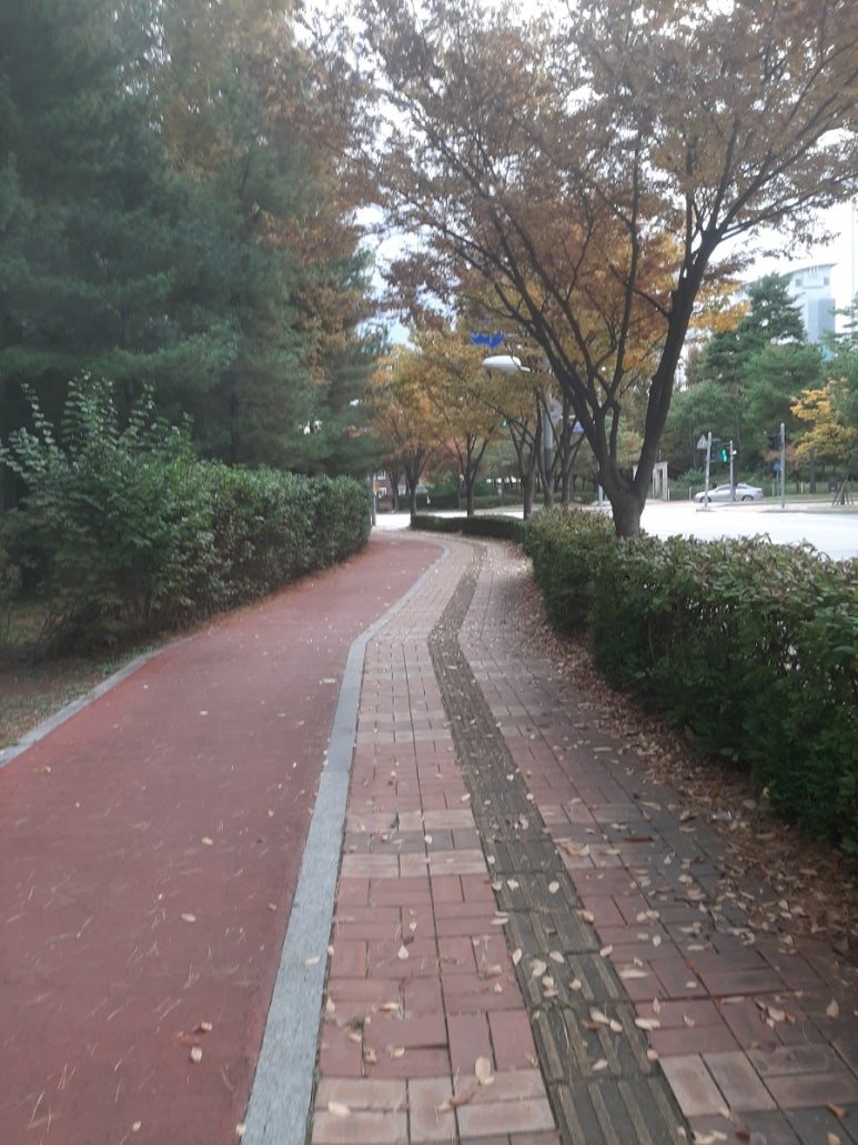 (주)삼천푸드 이미지