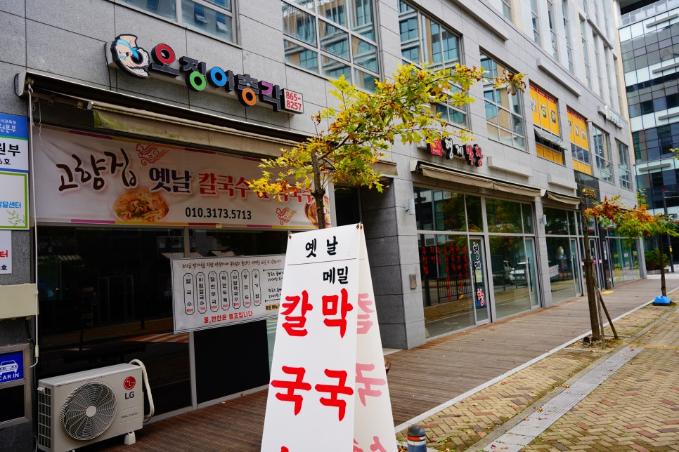 고향집 옛날 칼국수 이미지