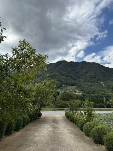 사인암472 이미지