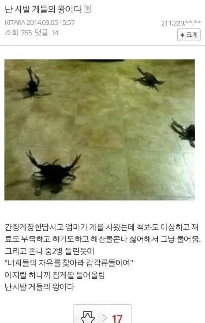 세븐틴코인노래연습장 이미지