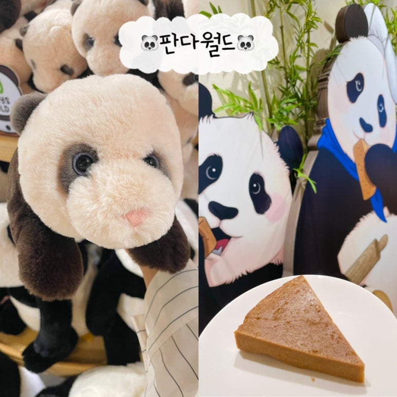 판다기프트 이미지