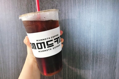 매머드익스프레스 이미지
