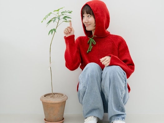 낙양모사 이미지