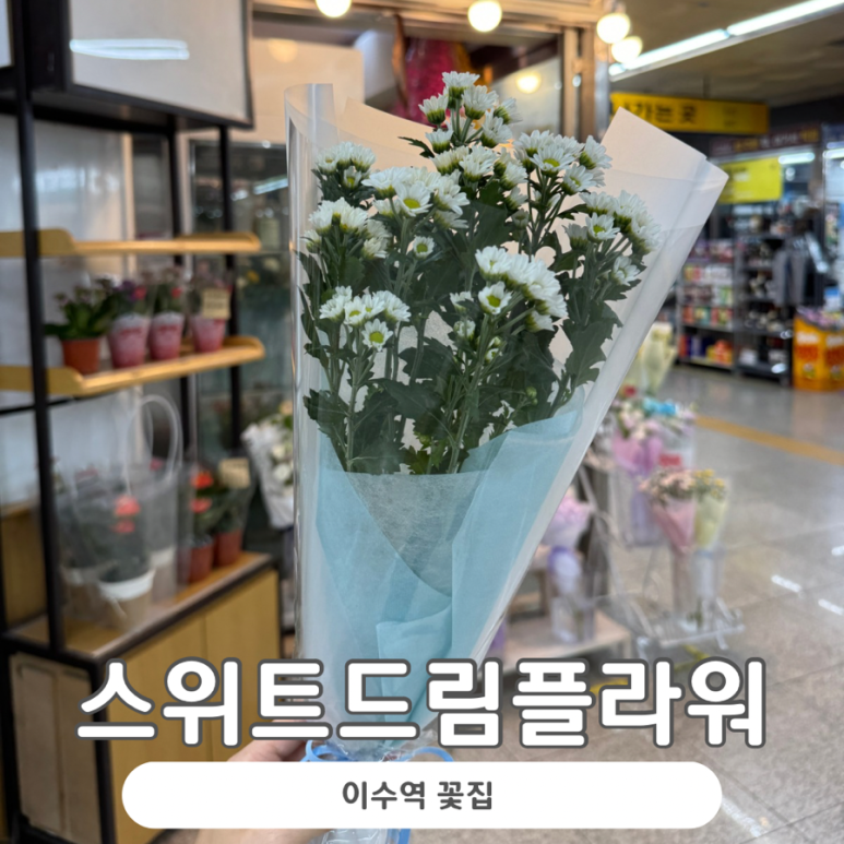 스위트드림플라워 이미지