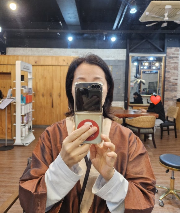 시저리 이미지