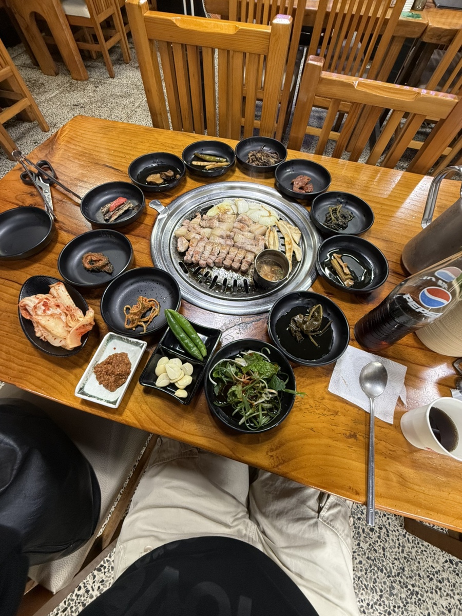 해변의돼지 이미지