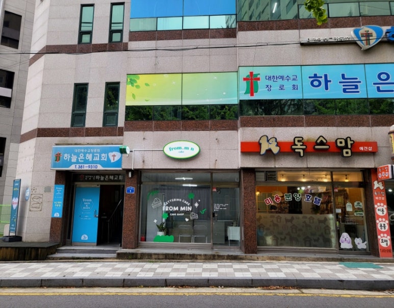 프롬민 이미지