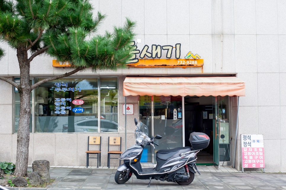 먹돌새기 이미지