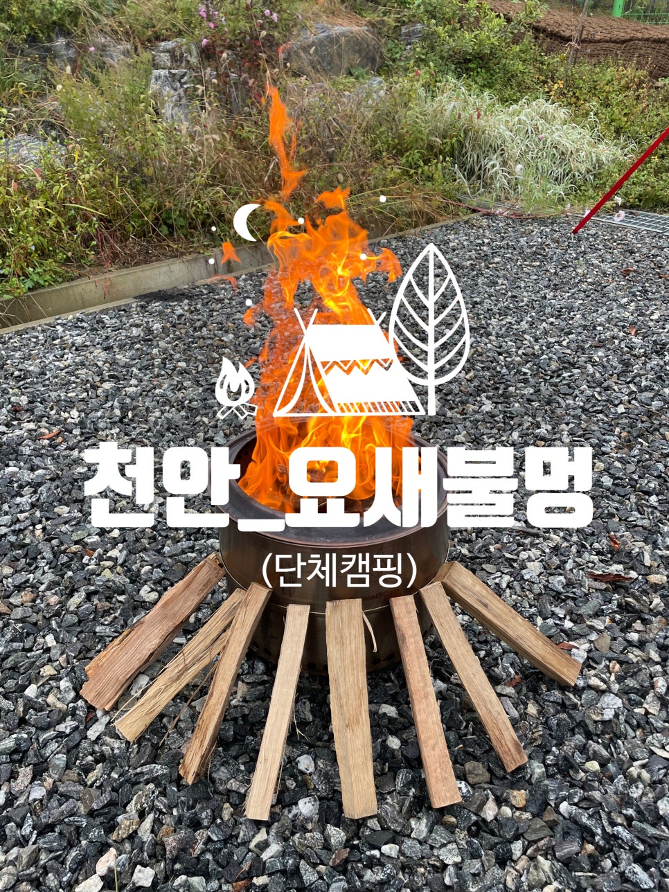 요새불멍 이미지