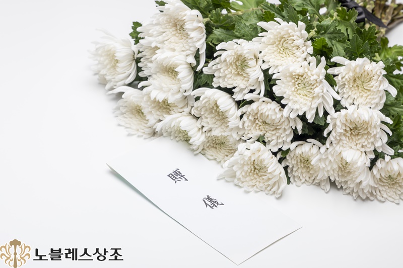 한장례 이미지