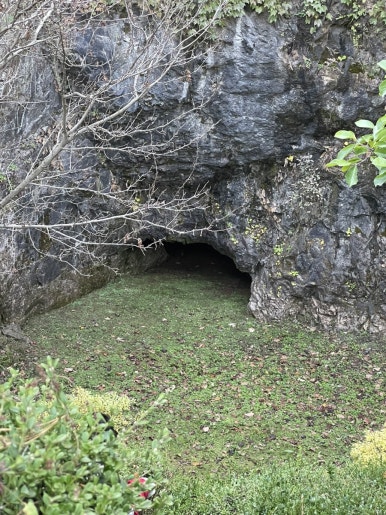 가마솥맷돌손두부 이미지