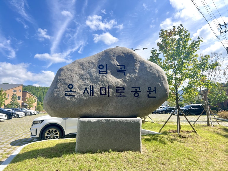 온새미로 이미지