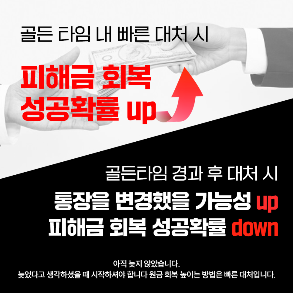 로얄인베스트 이미지