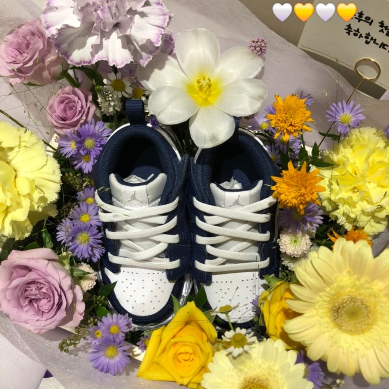 블랑드플레르 이미지