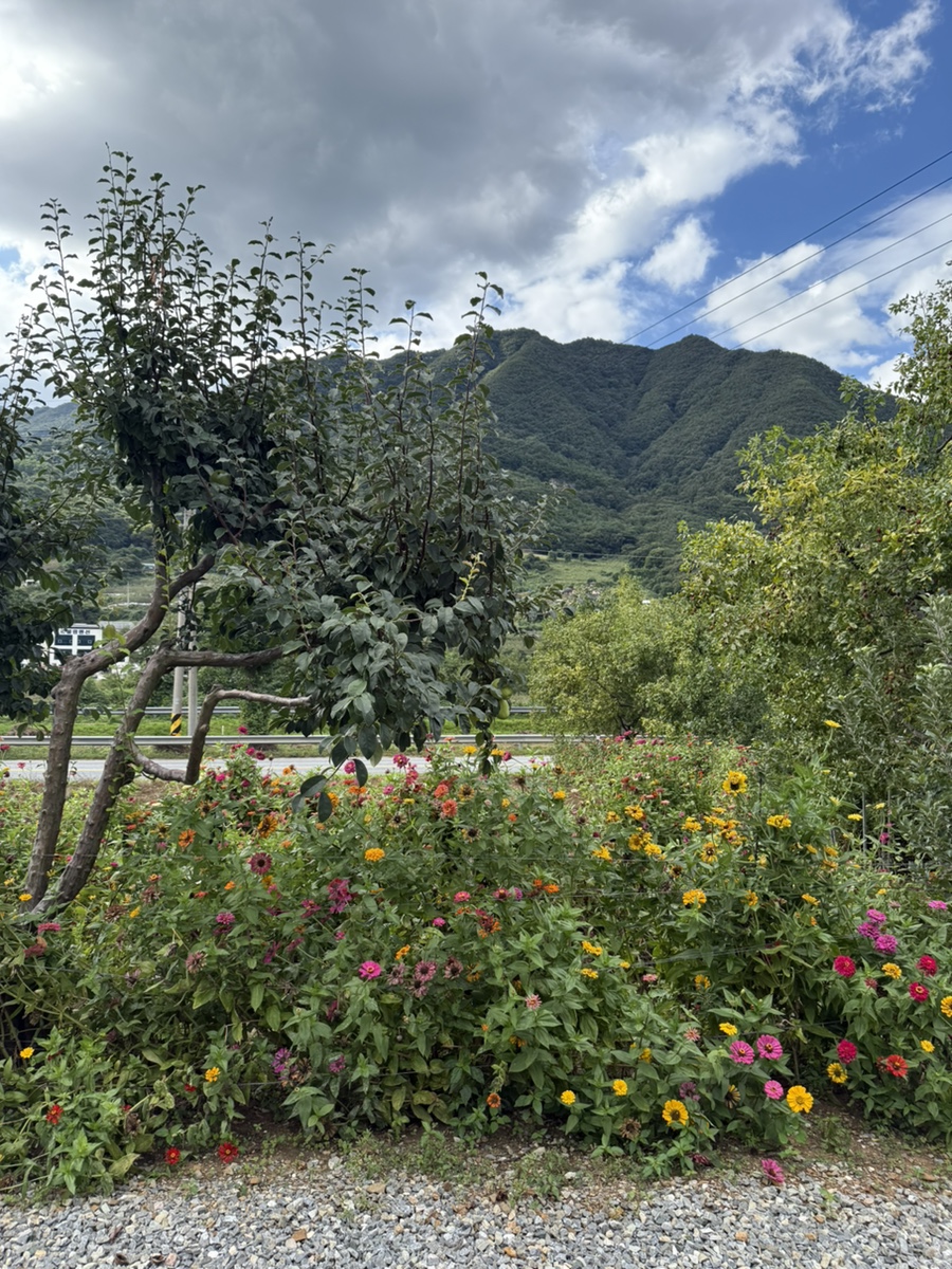 사인암472 이미지