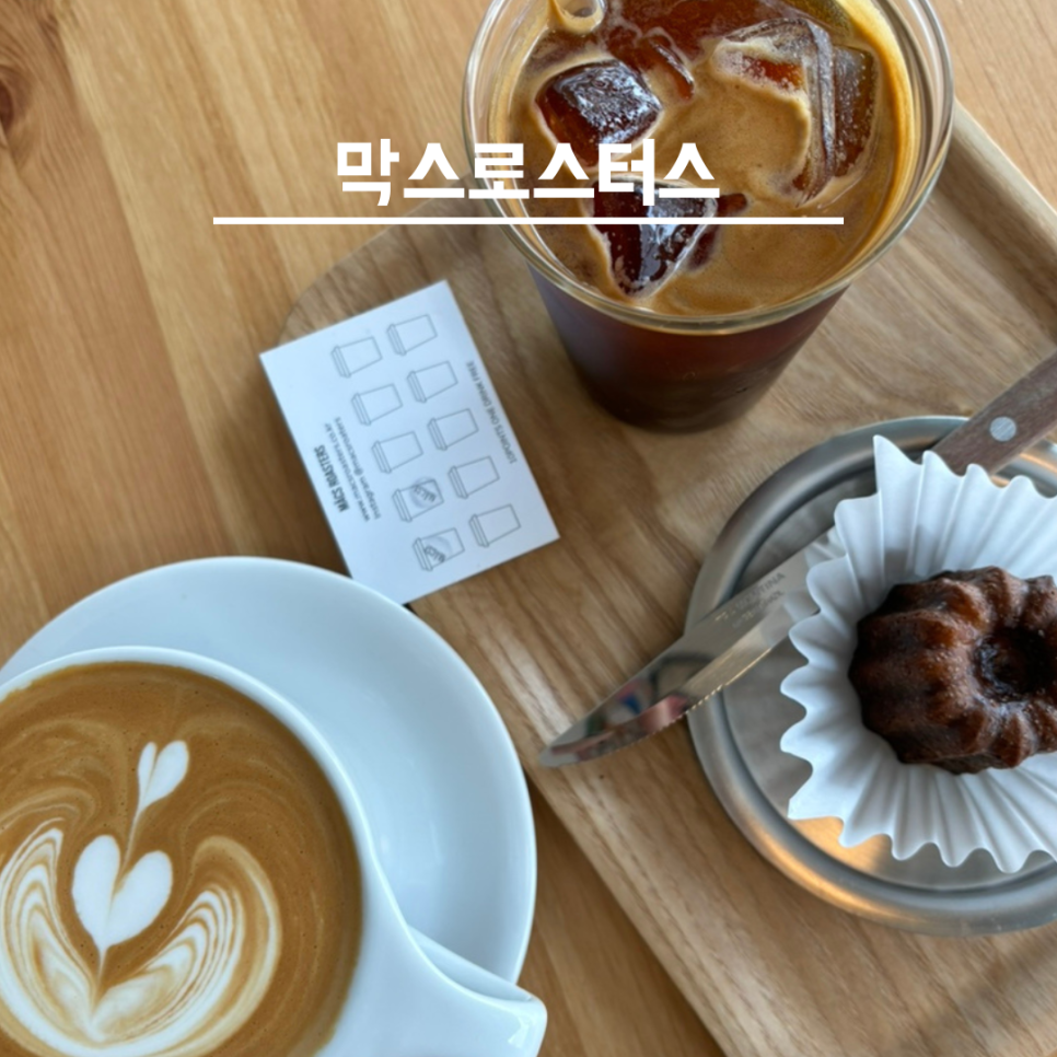 막스로스터스 이미지