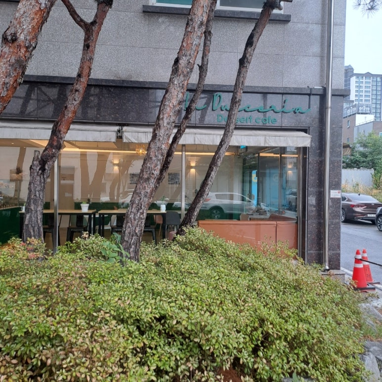 둘세리아 이미지